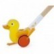 Ducky Push Pal (12 pcs/crt)