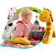 NEWBORN TO TODDLER GYM