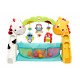 NEWBORN TO TODDLER GYM
