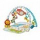 Fisher-Price Colourful Carnival 3-in-1 Musical Activity Gym  Colisage: 4 pcs