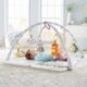 Fisher-Price Perfect Sense Deluxe Gym  Colisage: 2 pcs